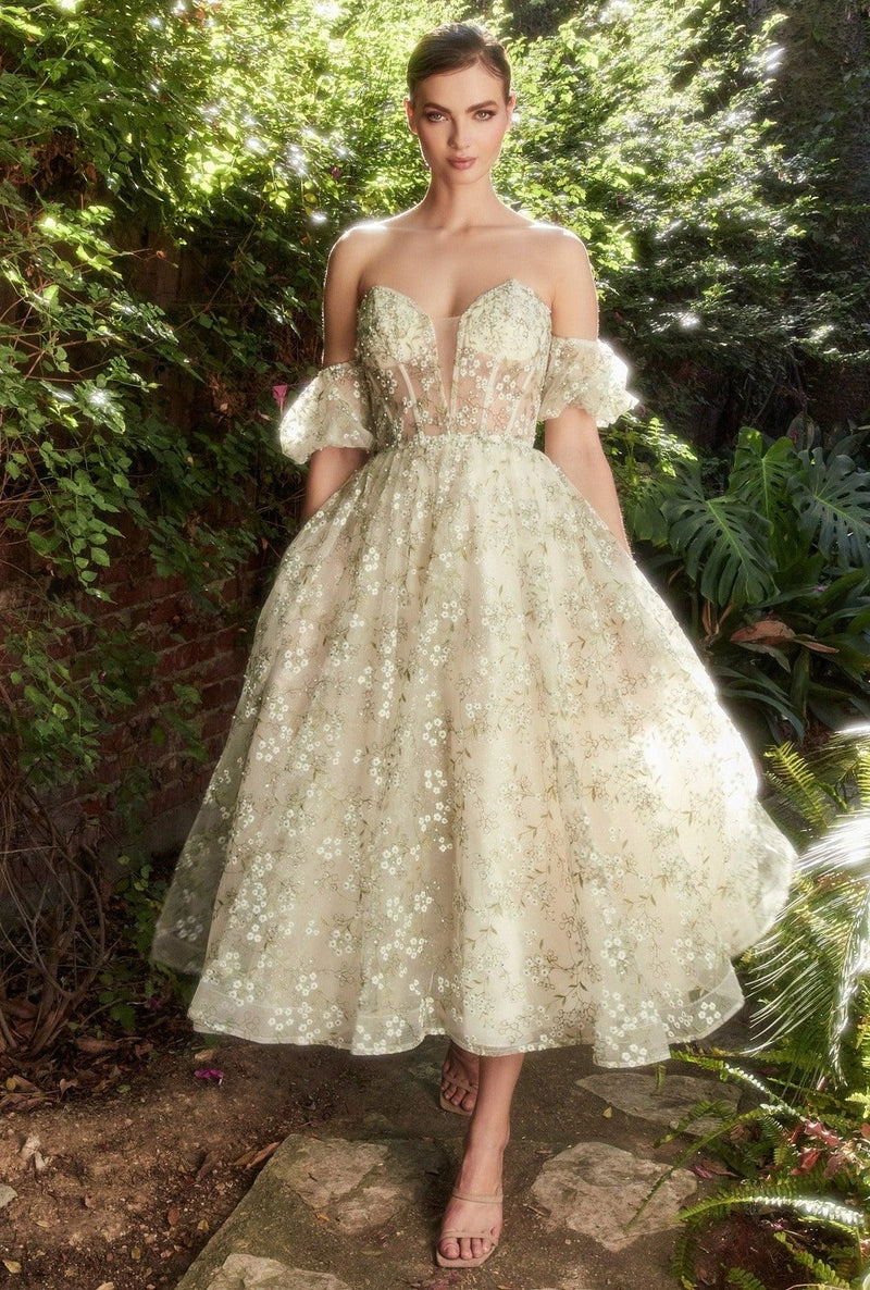Sexy Simple Short Prom Dresses Off The Shoulder Corset Tulle Tea