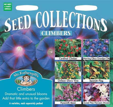 Pictorial packet collection of six different varieties of flowering climbers