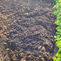 layer of home compost mulch