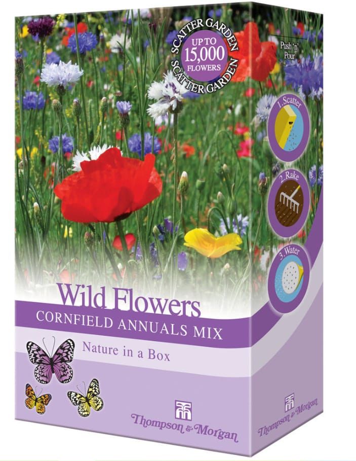 Thompson & Morgan - Wildflowers Cornfield Annual Scatter Seed Pack ...