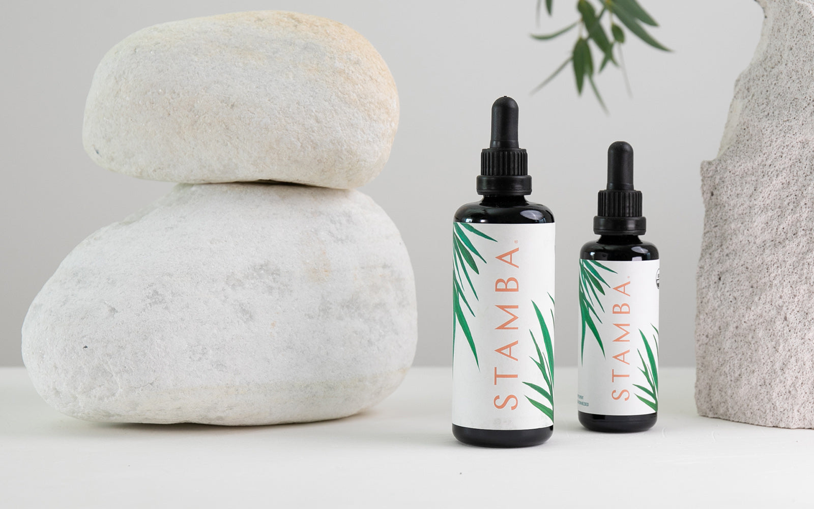 REPLENISH Probiotics
