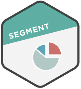 Customer Conversion Campaign: Segment