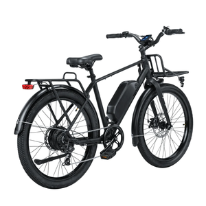 Hurley Big Swell Electric Bike