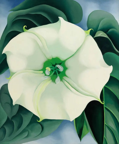 Jimson Weed, White Flower No. 1 by Georgia O'Keeffe