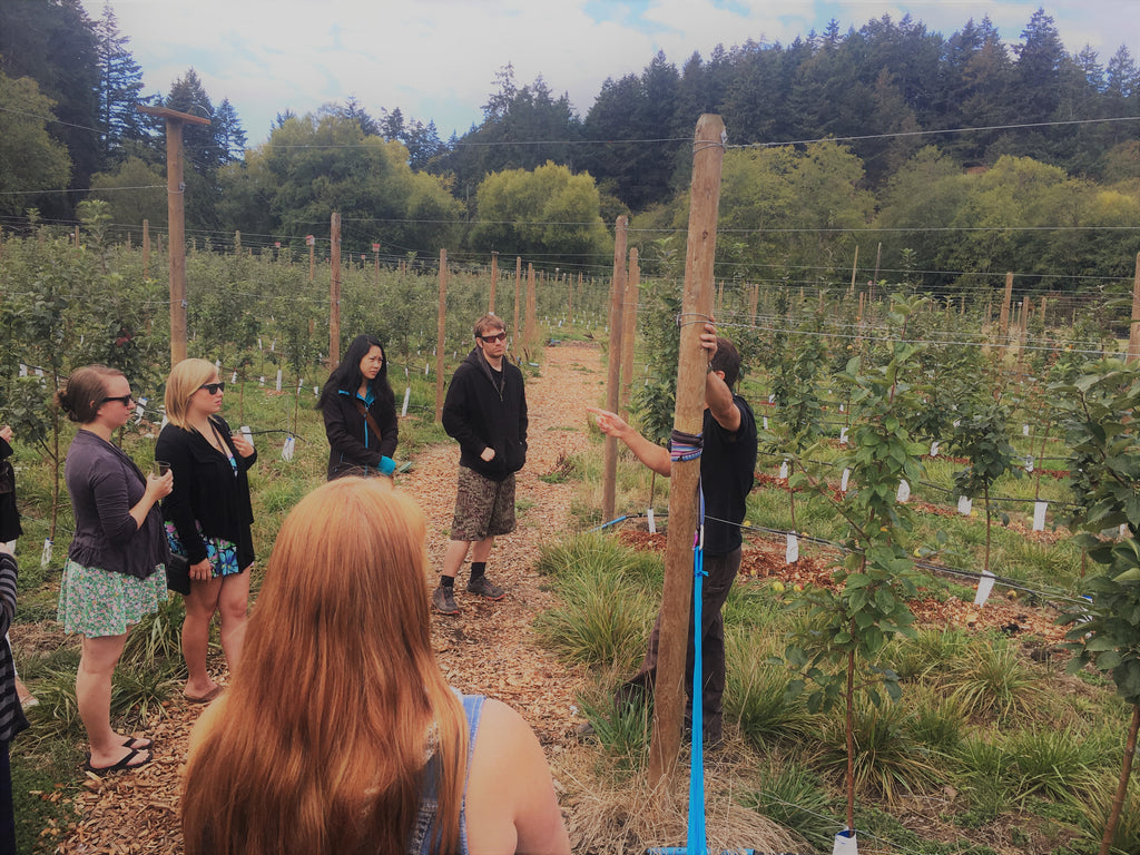 Tod Creek Cider house tour