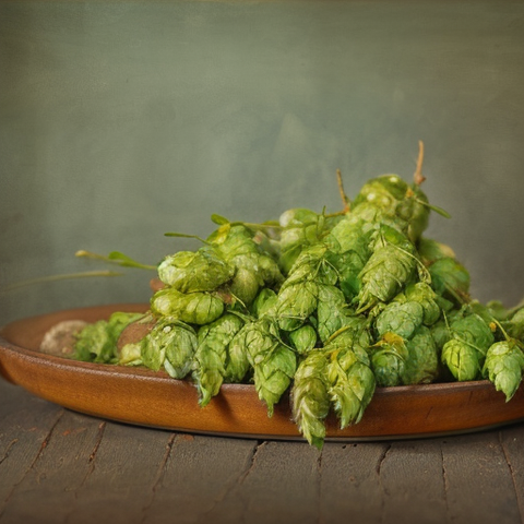 Hops on a Plate