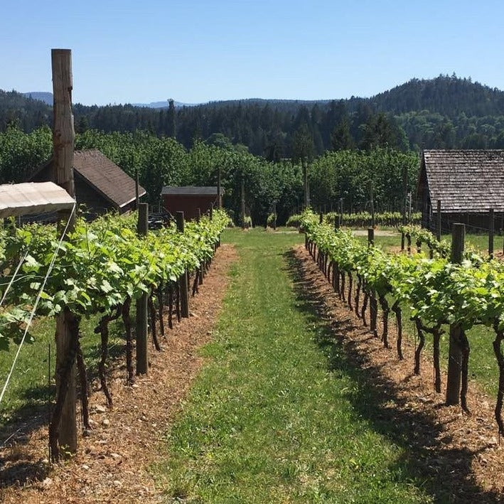 wine tours cowichan valley bc