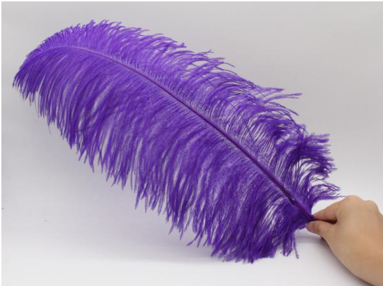 purple ostrich feathers for sale