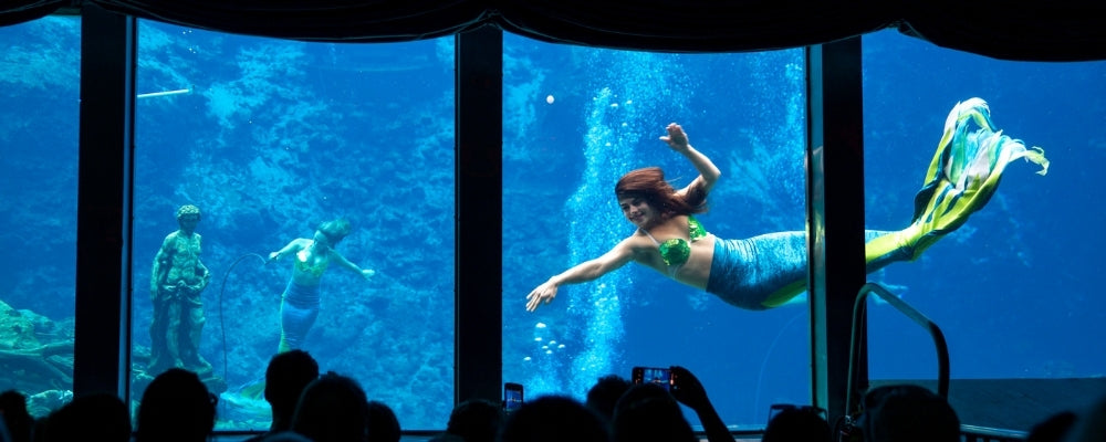 Mermaid bar aquarium géant weeki wachee