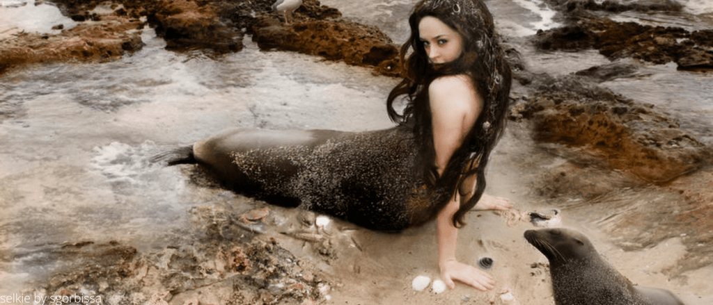 Selkies seal women mermaid