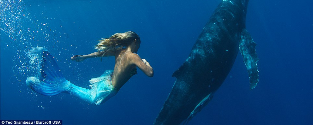 Mermaid with whales hannah fraser