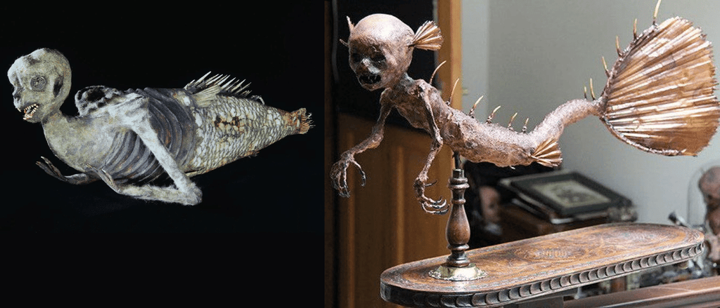 feejee mermaid