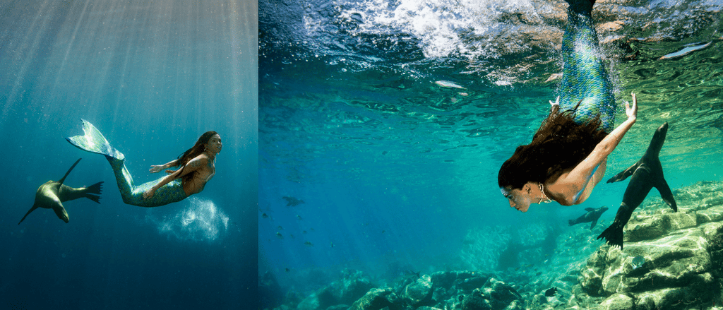 Mermaid with seal habitat ocean underwater swimming
