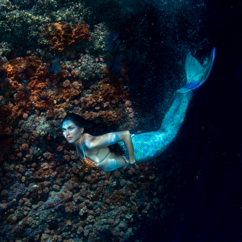 Mermaid under the water