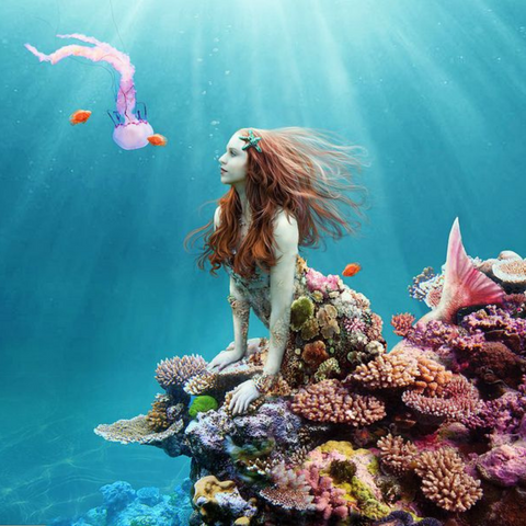 Mermaid underwater as a part of the coral reef