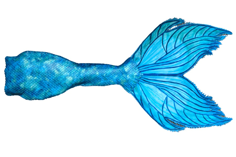 little mermaid tail drawing