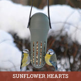 Sunflower Hearts for Wild Birds