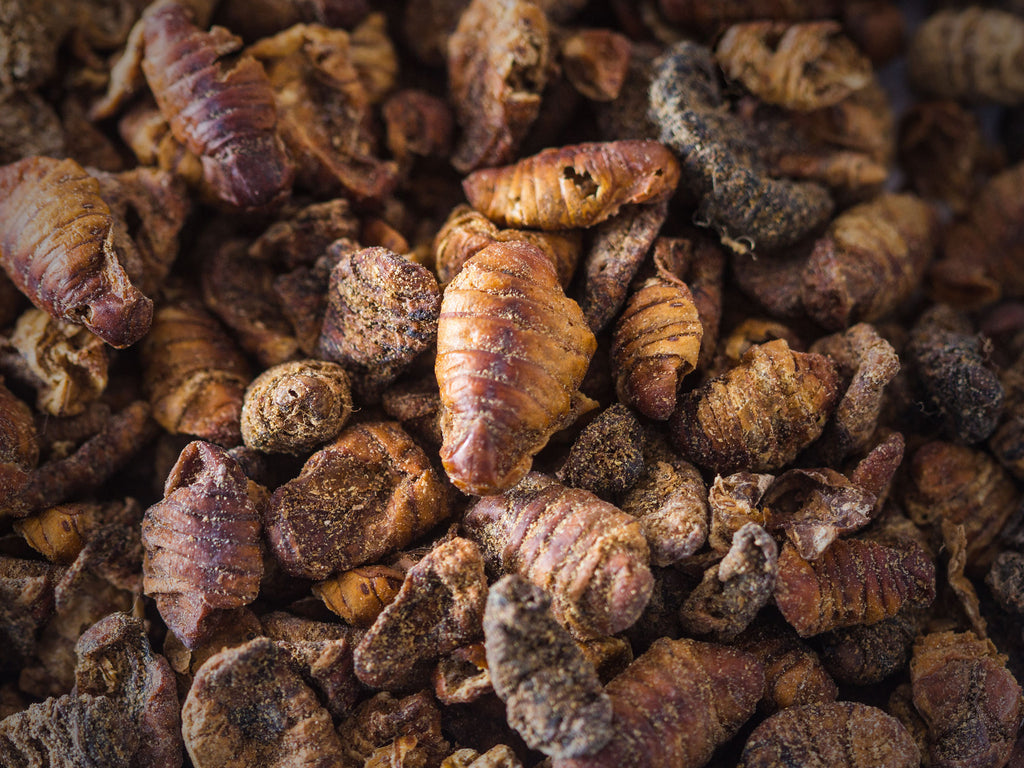 Human Consumption Of Silkworm Pupae