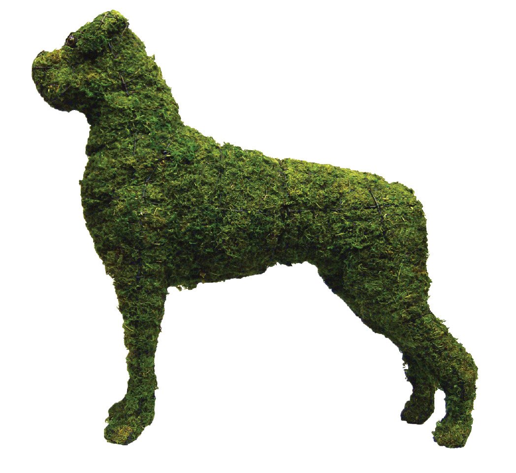 Садик для собак. Напольная скульптура собаки. Собака в саду. Boxer Dog.