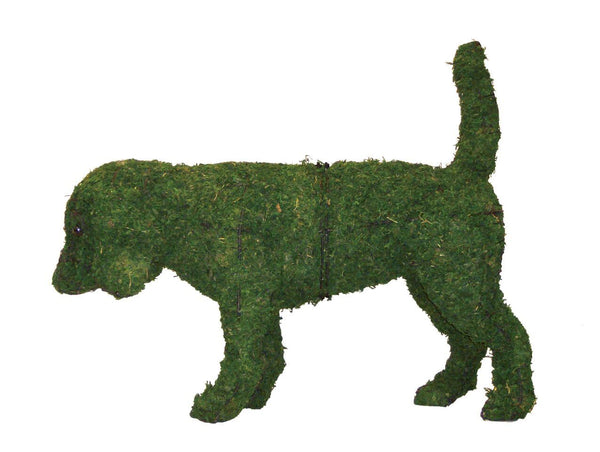 Straw Topiary Rabbit – Denchfield Nursery, Inc.