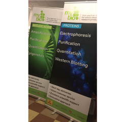 Pull Up Banners - Excellent high quality print