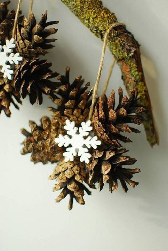 Christmas decor with pine cones