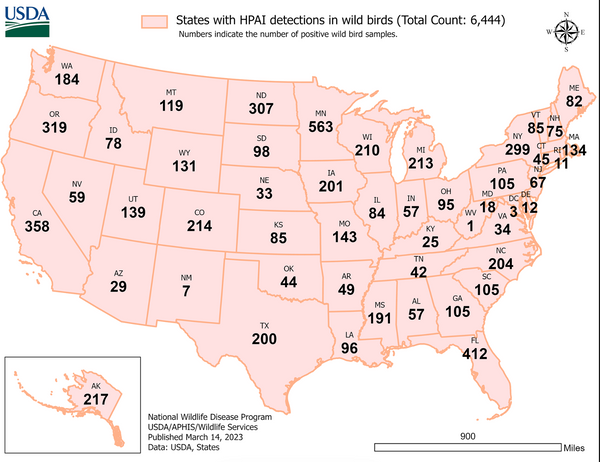 Bird Flu Incident by State_2023