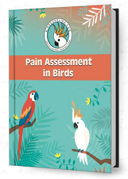 Pain assessment in birds