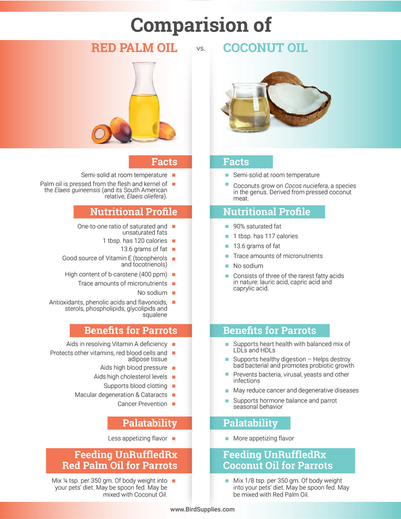 Comparing Red Palm Oil and Coconut Oil for Parrots
