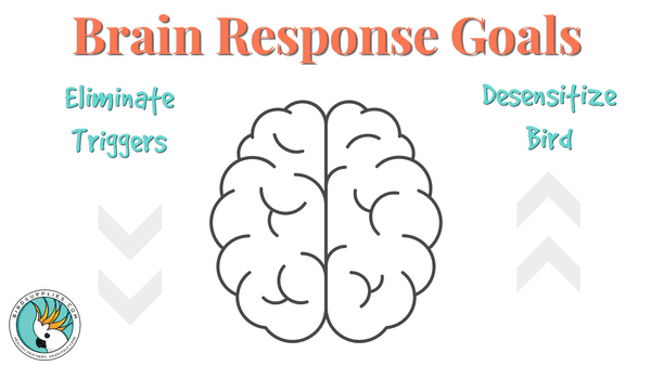 Brain Response Goals