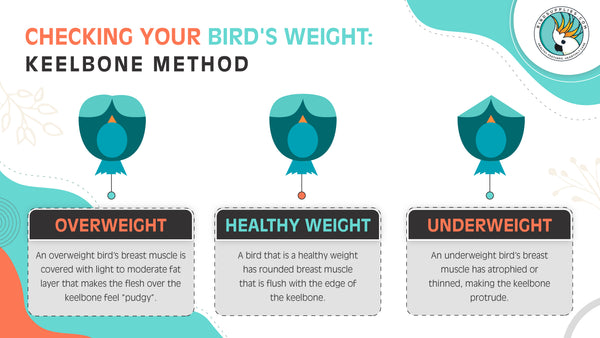 Keel bone method