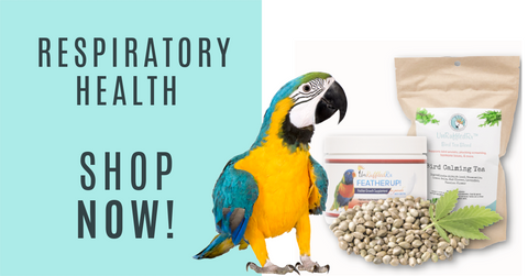 bird supplements for preventative Bird Respiratory Health