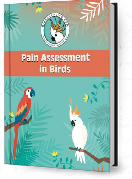 Pain Assessment for Birds Questionnare