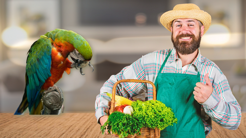 calming bird chop recipe