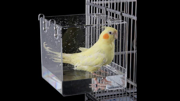 bath bird cage