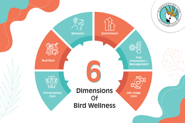 6 dimensions of bird wellness