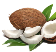 coconut