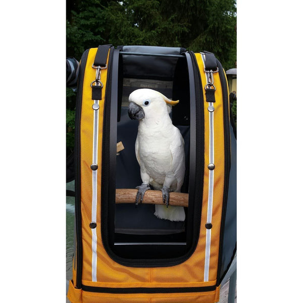 large parrot travel cage