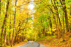 Driving through the Great Smoky Mountains in Autumn
