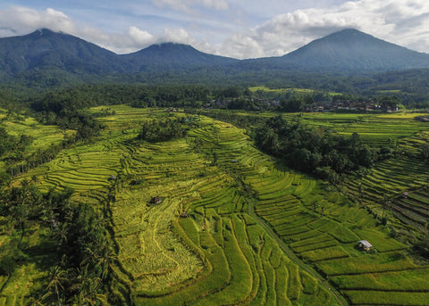 Jatiluwih and the landscape of Mount Batukaru Bali