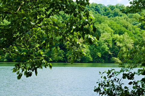 Beautiful Radnor Lake State Park, Nashville, TN, USA