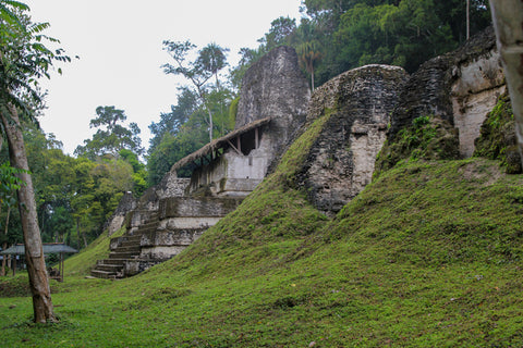 Temple Ruins, Tikal, Guatemala