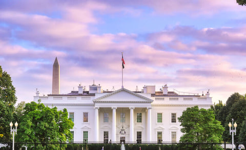 The White House, Washington DC