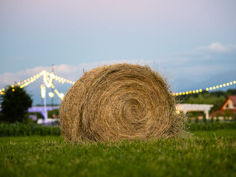 Haybale at a USA Festival