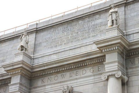 American Museum of Natural History