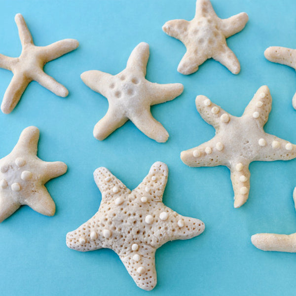 Salt Dough Starfish