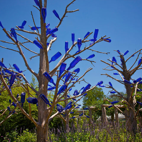 Tree with blue bottles on the branches