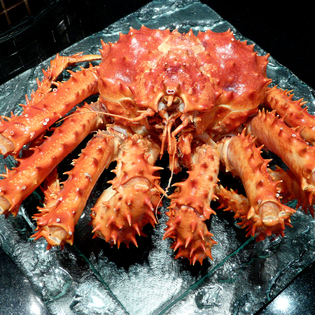 is-king-crab-price-worth-it-experts-weigh-in