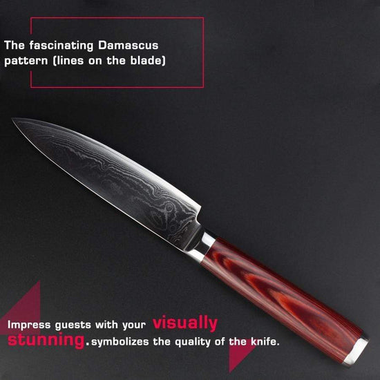 https://cdn.shopify.com/s/files/1/1111/6422/products/global-seafoods-north-america-knife-japanese-damascus-steel-steak-knife-2391596269634_550x.jpg?v=1575547057