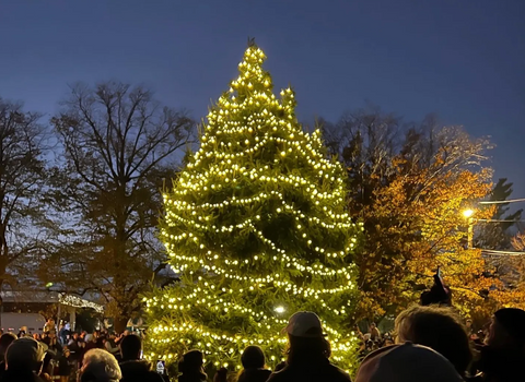 holiday lights in the hamptons